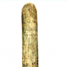 SCRIMSHAW CORSET BUSK, AMERICA, EARLY 19th C